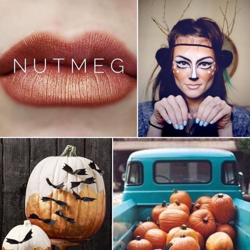 Lipsense by Senegence. Shade: Nutmeg. NWT. - Picture 4 of 4